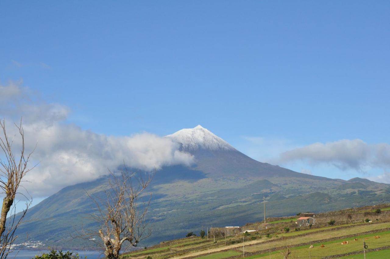 Casa Da Abrotea Villa Lajes do Pico Buitenkant foto