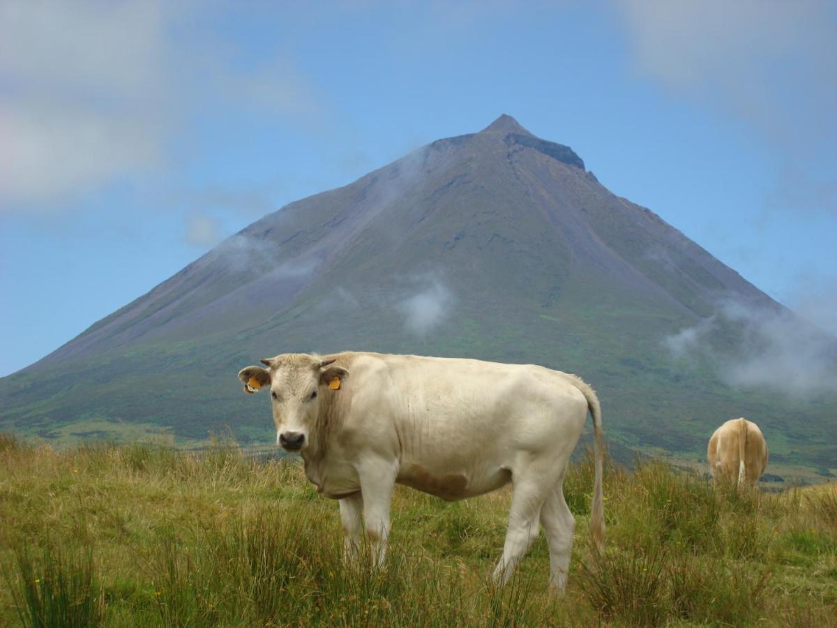 Casa Da Abrotea Villa Lajes do Pico Buitenkant foto